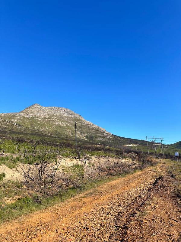 0 Bedroom Property for Sale in Kareedouw Eastern Cape